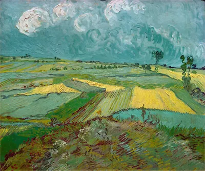 Van Gogh Oil Painting Canvas Print -Wheat Fields At Auvers Under Clouded Sky • $9.90