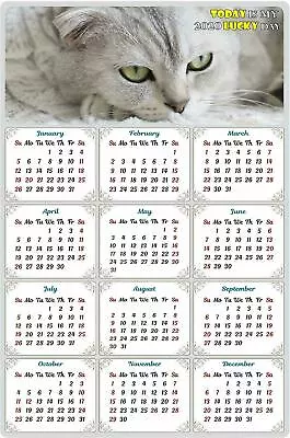 2020 Magnetic Calendar - Calendar Magnets - Today Is My Lucky Day - Cat Themed 1 • $11.99