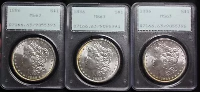 Lot Of 3 1886 P Morgan Dollars PCGS MS63 Choice BU Consecutive Rattler Holders • $350