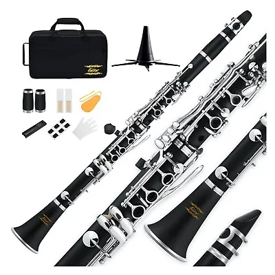 Eastar Concert Clarinet + Hard Case Student / Intermediate School Band Clarinets • $69.99