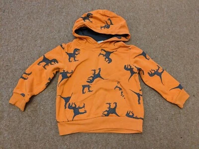 £3.50 • Buy H&M Orange Dinosaur Hoodie Jumper 2-4 Years