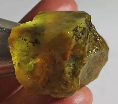 129Ct Natural Mexican Yellow Fire Moss Opal Facet Rough Specimen YYC540 • £1.58