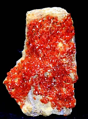 3  Superb Red Vanadinite Crystals On Matrix  Morocco! ! V289 • $75