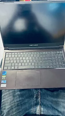 Metabox Alpha-S NP50HK Gaming Laptop • $1100