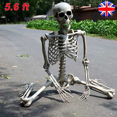 170cm Full Life Size Human Hanging/Sitting Skeleton Prop Halloween Decoration • £15.95