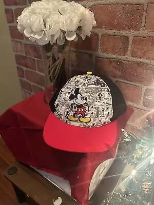 Mickey Mouse Hat • $10