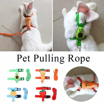 £4.26 • Buy Cat Rabbit Guinea Pig Rat Ferret Harness & Lead Breathable Soft Pet Leash Set