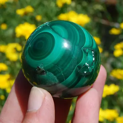 SALE Was 86 | 1.75in 196g Natural Malachite Crystal Sphere Congo • $65.70