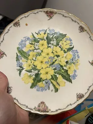 Royal Albert Plates - The Queen Mother's Favourite Flowers - 'Primroses' • £10