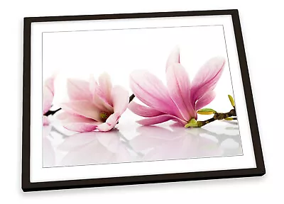 Floral Flowers Magnolia FRAMED ART PRINT Picture Poster Artwork • $64.99