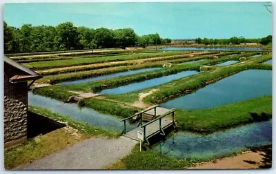 Fish Hatchery - Huntsdale In Cumberland County Near Carlisle Pennsylvania USA • $11.99