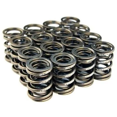 BLOX Racing Dual Valve Springs For K20A2-3 Z1-3 (2.0L DOHC I-VTEC) / K24A-3 (2.4 • $200