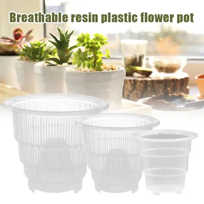 Clear Plastic Orchid Pots With Holes Hollow Breathable Gardening Garden S/M/L AU • $12.95