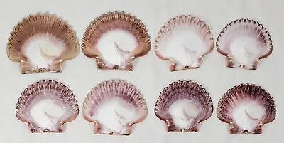 Lot Of 8 FLAT PURPLE PECTIN SCALLOP SEA SHELLS 3   • $8.99