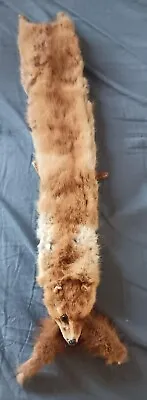 Vintage Fox Fur Stole Real Fur Wrap Scarf Whole Fox Pelt 24  • $29.95