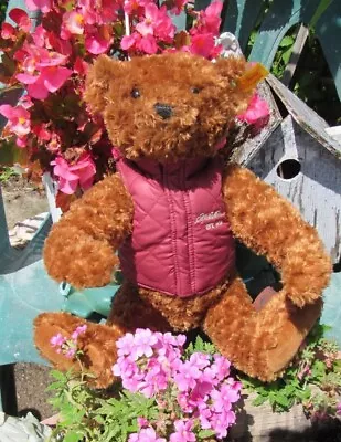 Vintage Steiff Teddy Bear Chocolate Brown Ear Button 12  Eddie Bauer Vest Plush • $75