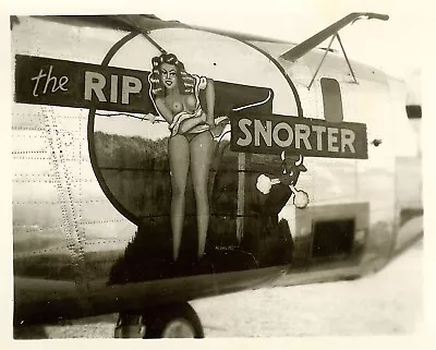 Org. Nose Art Photo: B-24 Bomber  THE RIP SNORTER !!! • $24.50