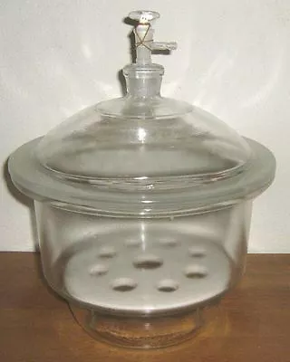 $72.99 • Buy Glass Desiccator Vacuum Jar Lab Dessicator Dryer 8  New