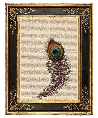 Peacock Feather Art Print On Vintage Book Page Home Office Nursery Decor Gifts • $13.99