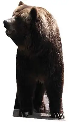 Grizzly Bear Lifesize Cardboard Cutout - 165cm • £35.99