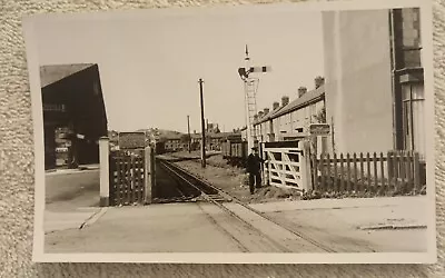 A Crossing On Vale Of Rheidol Railway @ Aberystwyth Circa 1960s Original Photo`. • £4