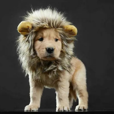 £7.32 • Buy Pet Costume Lion Mane Wig For Dog Cat Party Fancy Dress Up Christmas Halloween