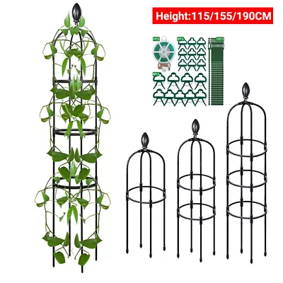 3 Sizes Outdoor Garden Rose Metal Obelisk Climbing Plant Support Frame Trellis • £5.69