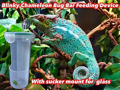 Blinky Chameleon Bug Bar Insect Feeding Cup Glass Suction Mount Reptile • £12.99