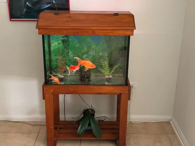 $165 • Buy Glass  Aquarium Fish Tank 30  Stand And  Hood Complete  Tank  Set Up- 130Litres