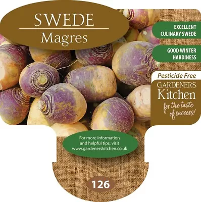 Swede Plants 'Magres' - 6 X MEDIUM Plug Vegetable Plants. • £9.99