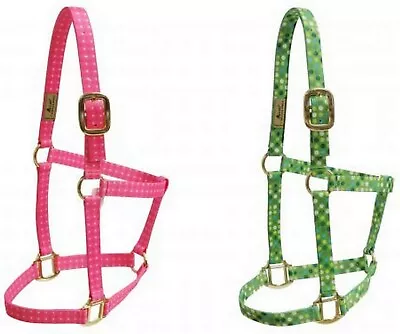 Western Or English Saddle Horse Heavy Nylon Halter Head Collar Pink Lime Green • $8.91