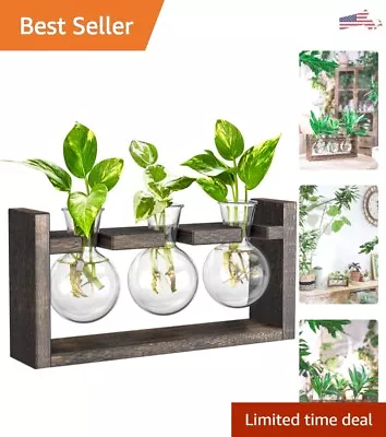 Versatile Tabletop Glass Bulb Propagation Station - Wooden Stand - 3 Bulbs-Brown • $25.37