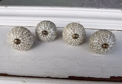 SEA URCHIN STYLE  Drawer Pull Knob ~ Dresser Nautical Coastal Beach Creamy Gray • £5.77