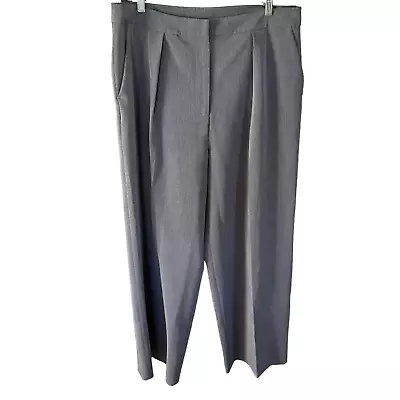 MISOOK Gray Pleated Wide Leg Dress Pants NEW NWT Size Large • $45