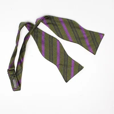 Robert Talbott Mens Silk Bowtie Bow Tie Green Purple Navy Blue Stripe Butterfly • $24.99