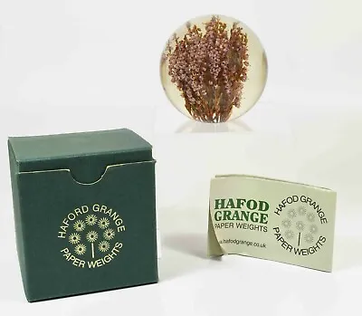 £28.99 • Buy Very Pretty Mint In Box Hafod Grange ~ Heather ~ 3½  Inch Paperweight ~ 2004