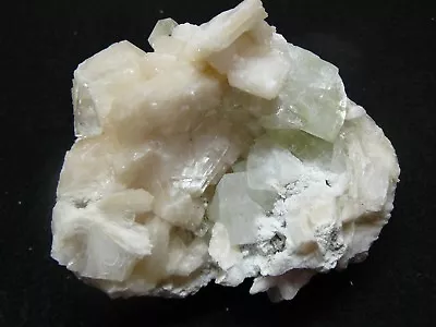 Apophyllite-Morganite Crystal Mineral Specimen #IN725 • $3