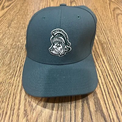 Nike Adult Michigan State University Spartan Wool Blend Fitted Hat Green One Siz • $17.99