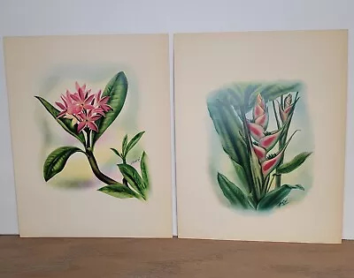 Vintage Ted Mundorff Airbrush Painting Prints LOT 2 Floral Signed • $40