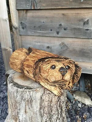 Chainsaw Carved Hardwood  Bear In A Log  • £49.99