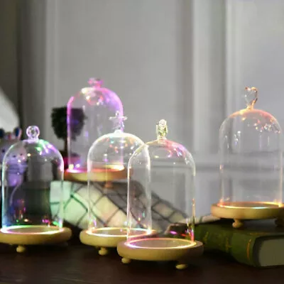 £12.95 • Buy LED Light Up Clear Glass Display Stand Dome Bell Jar Cloche With Wooden Base UK