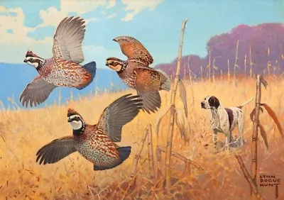 Hunting Dog With Quail By Lynn Bogue Hunt • $15.95