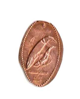 Elongated Penny  Smithsonian National Museum Of Natural History  Washington DC • $2.50