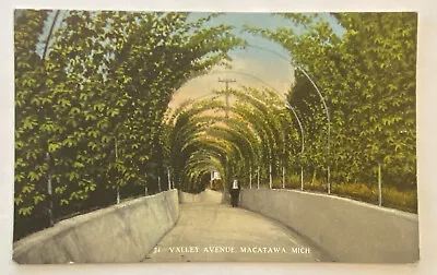 Vintage Divided Back Postcard Valley Avenue Macatawa Michigan Unposted • $7.49