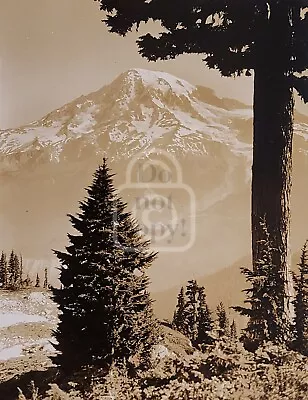 Scarce Photo From Wahpenayo Peak Of Mt. Rainier Washington. C 1930's RANAPAR  • $59.95