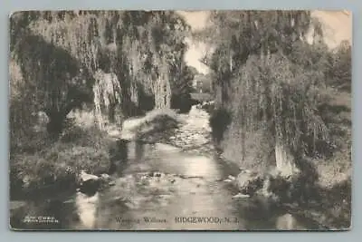 $12.99 • Buy Weeping Willows RIDGEWOOD New Jersey~Bergen County NJ Antique Albertype 1910