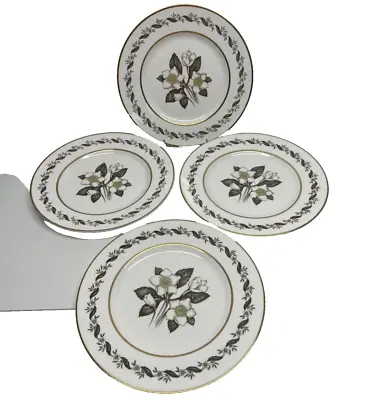 £19.99 • Buy Set Of 4 Vintage Royal Worcester   Bernina  Dinner Plates ( F67) (c)