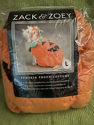 $6 • Buy Zack & Zoey Pumpkin Pooch Dog Costume, Large, Orange