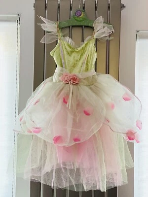 £25 • Buy Magical Fairy Princess Dress Age 3-5yrs