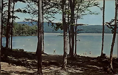 Inlet New York Limekiln Lake Campsite Beach Swimmers Mailed 1974 Postcard • $7.49